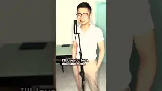 A Thousand Years - Covered by Adrian N