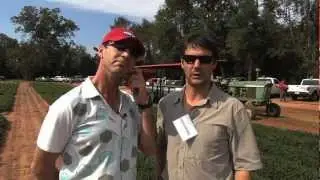 Quality Showcased On Georgia Peanut Tour