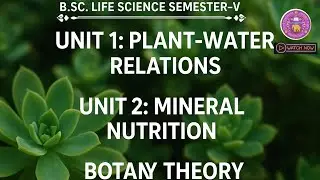 Plant-Water Relations & Mineral Nutrition | B.Sc Life Science Sem-V | Botany One Shot