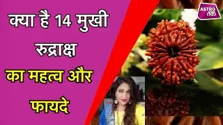 क्या है 14 मुखी रुद्राक्ष का महत्व जानें इसके फायदे | Karishma Kaushik | Astro Tak