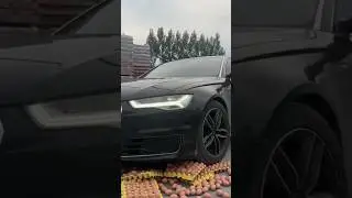 #adiaava