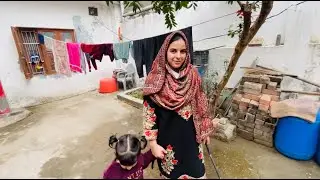 Shab - e - Meraj Special Video || Gojri vlog || Gujjar Family