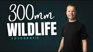300mm wildlife fotografie #fotografie #camera #dieren