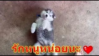 อ้อนเก่งจังเลย บอกว่าไม่รักไม่ต้องมาตีเนียนอ้อนเลย