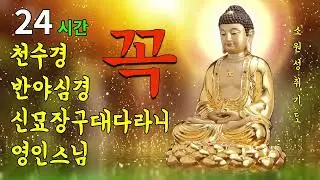 【소원성취 기도】금전 문제가 스스로 풀립니다 🌕 맑은 금전운과 돈을 끌어당기는 명상음악