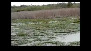 Orange Lake