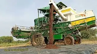 Black Paddy#Red paddy#blackrice #redrice #brownrice