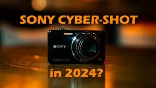 Can the Sony Cybershot still perform?