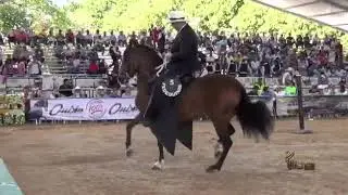 Alex Cano Memorable e Inolvidable Momento Trote Y Galope