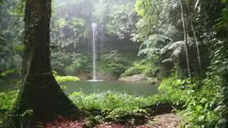 Hirriba Gaarii argachuuf muziqaa sammuu nama haaromsu