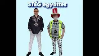 ST&Eacute;G -T&aacute;ncoljunk