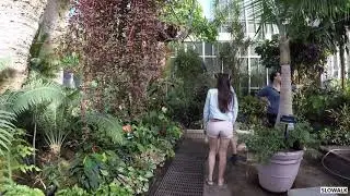 Auckland Domain | Winter Garden |Filmed 24/02/2020 | Auckland Vlog | I walk for you
