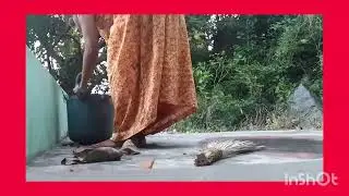 Manig day,//babirat ki vlog