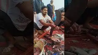 DAS ASHIK is live