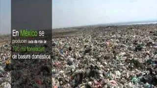Programas sectoriales