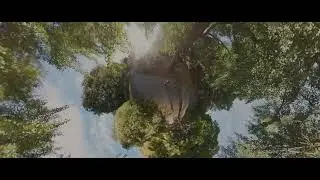 MT Auburn Cemetery, Sun View LP (360-degree) 4K