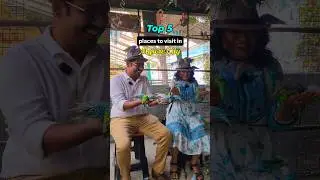 Mysore Tourist Places - Top 5 Places to Visit in Mysore City 🏰 #mysore #travelwithsomi #shorts