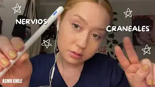 cranial nerves exam asmr lo-fi 🤍 asmr en español
