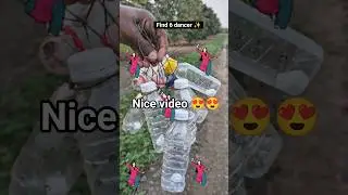 6 dancing girls ढूंढो#dancevideo#dance#shorts#dancechallege#trending#youtube#challenge#dancinggirls