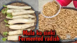 How to make mula ko sinki।।Mula ko amilo sinki