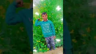 Piyar shareho ke time 👀👉bacch#viralvideo #smatarunanusantara