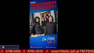 Entrevista a FANTASMAGORIA Para  Traicionera Realidad por FM F&Eacute;NIX 100.3