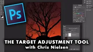 My Video Tutorial on the Target Adjustment Tool in Photoshop CC.