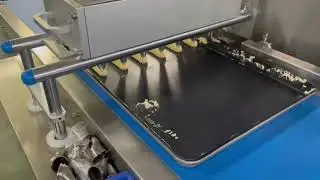 Multifunctional cookie extruder machine #cookie depositor machine #drop cookie machine 
