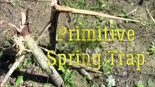 How to Make a Primitive Spring Trap (Plus Bonus Hunting Footage!)