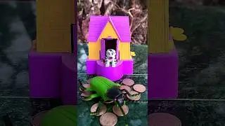 🏠🐶 This Doggy House Is TOO CUTE! Ultimate Cozy Setup 😍✨#shorts#funny#viral#subscribe#trending#funny