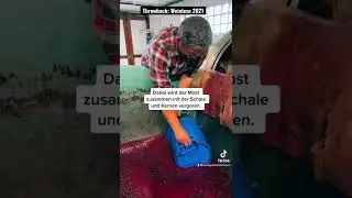 Von der Traube ins Weinfass - Weinlese 2021 🍇🍷 #wein #sp&auml;tburgunder #weinlese #traubenlese