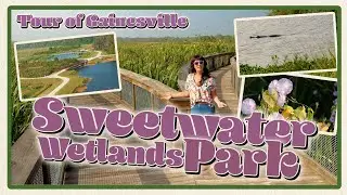 Tour Of Gainesville:  Sweetwater Wetlands!
