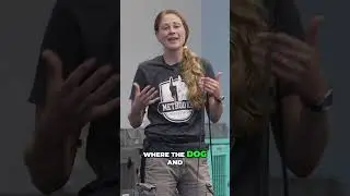 Respect of space between dogs and kids.