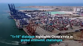 &ldquo;1+10&rdquo; dialogue highlights China&rsquo;s role in global economic challenges