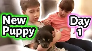 New Puppy Day 1 |Violet & Dean&rsquo;s First Day with New Puppy Dashi! | Adorable Family Moments