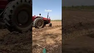 Sudan 🇸🇩 -Country #8