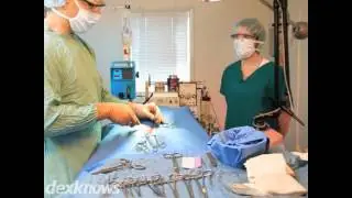 Alpine Animal Hospital PC Corvallis OR 97330-9128