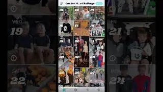 1 second everyday video challenge