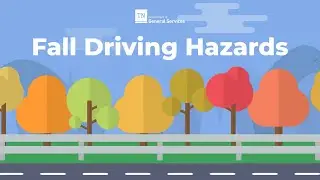 VAM: Fall Driving Hazards
