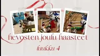 Hevosten joulu haasteet🎄 || joulukalenteri || luukku. 4🎅