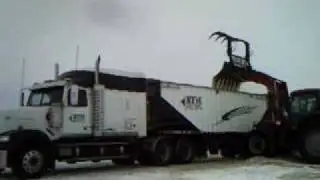 Loading wheat Arcola, Saskatchewan