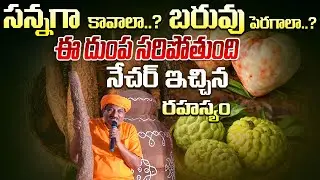 సన్నగా కావాలా..? బరువు పెరగాలా..? ఈ దుంప సరిపోతుంది !!నేచర్ ఇచ్చిన రహస్యం | Ravivarma | AYUR MANTRA