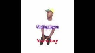 Nuru boy_-_changanya