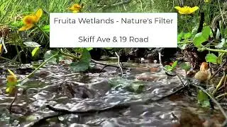 Fruita Wetland - Skiff Ave & 19Road