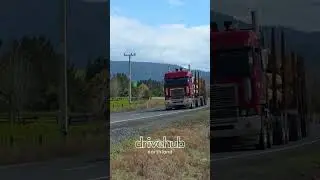 Southbound Muscle &ndash; Freightliner Logger On the Move 🚛💪🏾