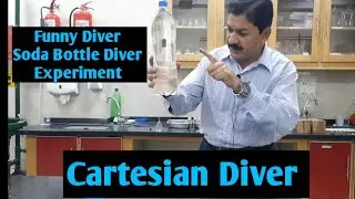 Funny Diver | Cartesian Diver | Soda bottle diver Experiment -  AsifStem Science Project.