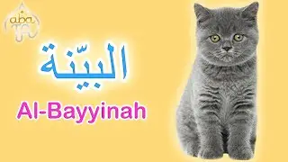 Animation Cute Cat Recite Juz Amma Al - Bayyinah