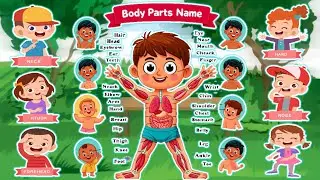 Body Parts Name for kids | preschool learning for toddlers | kids learning video 