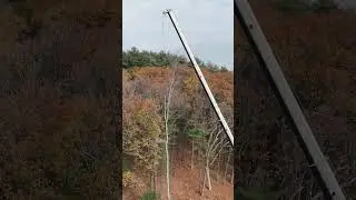 another project well executed by dennis tree service #drone #dji #tree #treeservice