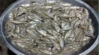 छोटी मछली बनाने का सबसे आसान तरीका/Bihari Style Small fish Curry Recipe/fish Recipe 